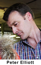 Peter Elliott